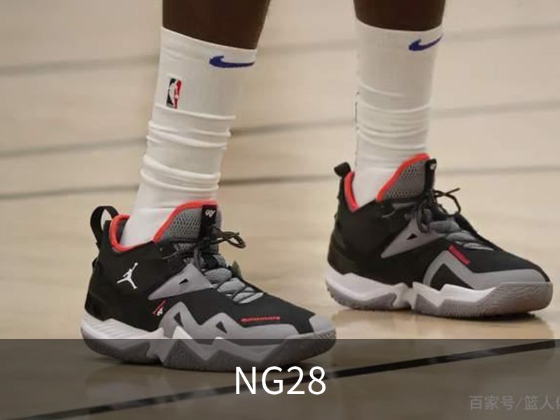 NG28概况